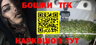 индика Донецк