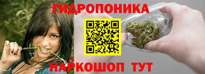 индика Донецк