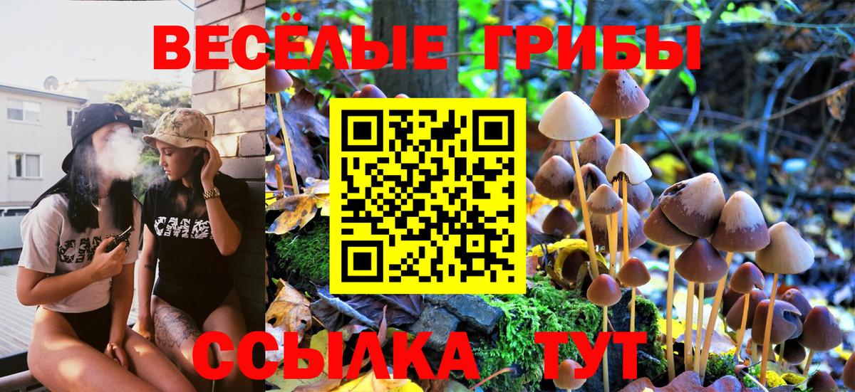 Псилоцибиновые грибы ЛСД Коломна