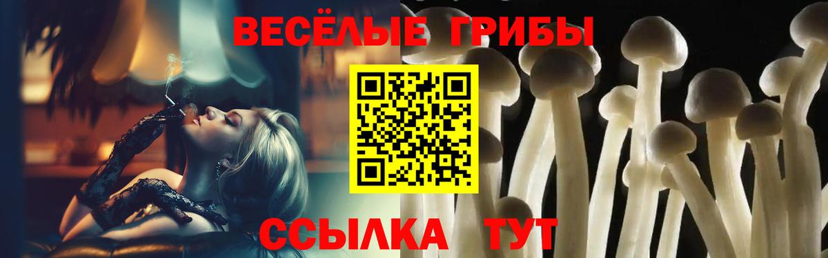 Псилоцибиновые грибы MAGIC MUSHROOMS  Вход с VPN  Коломна 